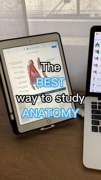 This is how I study for my anatomy exams 🫀👩🏻⚕️  I use @kenhubcom and it is *chefs kiss* 📚 You can try Kenhub here: https://khub.me/theorganizedmedic ❤️   Get 10% off with the code in my profile 💸  Kenhub is an online platform that combines multiple effective tools for learning human anatomy and histology. They make studying a fun and enjoyable experience with detailed articles, colourful videos, interactive quizzes, high-quality atlas images and diagrams.   📱Let’s be friends:  • TikTok – @theorganizedmedic  • Instagram – @theorganizedmedic  • Pinterest – @theorganizedmedicchristina   Facebook – @theorganizedmedic  📩 Want to get in touch?: christina@theorganizedmedic.com  #medschool #medicalschool #medstudent #medicalstudent #medadvice #medicaladvice #medtips #medicaltips #studyti