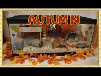 Bibbles Autumn Themed Hamster Cage