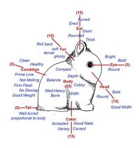 Diagrams - Westy Rabbitry