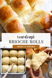 Looking to make the best buttery and pillowy sourdough dinner rolls without yeast? This overnight recipe brings fluffy, homemade brioche-style rolls straight to your table. Perfect for family gatherings or holidays, these rolls are soft, rich, and made with natural sourdough starter for depth of flavor. Discover the simple steps to create these airy dinner rolls that taste amazing and impress every time. Visit makeitdough.com for this recipe and more sourdough inspiration today!