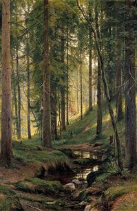 Ivan Ivanovič Šiškin (Russian, 1832-1898), "Ручей в лесу (На косогоре)/Stream in the forest (On the slope)" (1880) Oil on canvas, 204 x 138 cm Kiev, Kyiv National Museum of Russian Art Нацiональний музей «Київська картинна галерея»