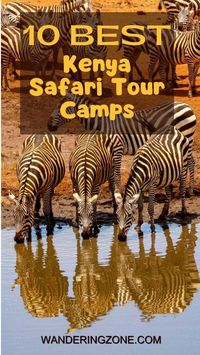 10 Best Kenya Safari Tour Camps - Recommended by a Local | WZ