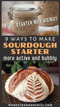 Is your sourdough starter not rising well... or not at all? Come learn 9 easy ways to help make sourdough starter more active to rise taller and faster than ever before. Learn how to feed your sourdough starter with the best type of flour, water, how to keep sourdough starter warm, fermentation tips, and more. These tips how to make a bubbly sourdough starter will help your bread rise better too!