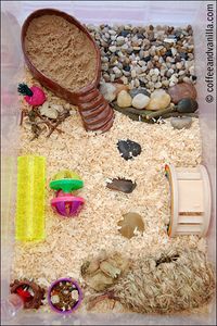 Un parc pour hamster, chouette.