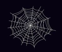 Premium Vector | Round scary spider web. white cobweb silhouette isolated on black background. hand drawn spider web for halloween party. vector illustration.| #web page animation #web animation #web animation inspiration #web animation design #web background animation