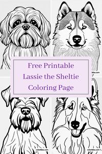 Bring joy to your art time with our delightful free printable Lassie the Sheltie coloring page! This cute and fluffy dog with its expressive ears and cheerful disposition is just waiting for your creative touch. Perfect for kids and adults alike, it's an excellent way to unleash your imagination using vibrant colors! Grab your crayons or markers and enjoy a fun art session while exploring the world of adorable pets through this charming coloring activity