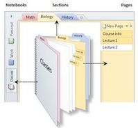 How OneNote is organized