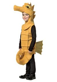 Seahorse costume inspiraation