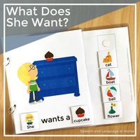 WH Question Printable Interactive Book, What Does She Want? — SLP