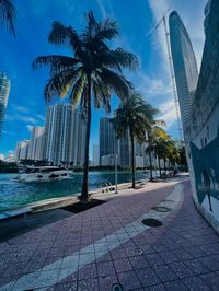 Miami River | City aesthetics | Yacht