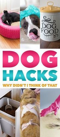 Hi there friends…you keep asking for more Hack posts and believe me…you will be getting more very soon…but we thought maybe you would like a few Dog Hacks…some helpful little tips and then some very informative infographics for your furry friends! Sure hope you enjoy and we hope we get a 4 paws up from …