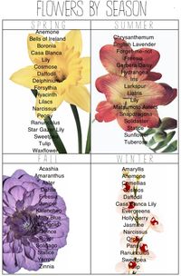 Flowers by season. Useful for centerpieces.