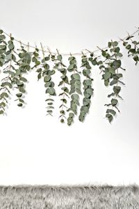 diy-eucalyptus-garland-4