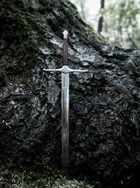 The magic sword