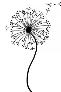 HOW TO DRAW A DANDELION