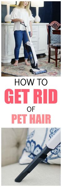 Wondering how to get rid of pet hair? Here are 5 simple tips and ideas to help banish that pet hair from your home.