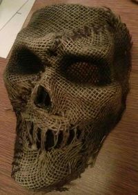 $1 store mask with canvas glued on