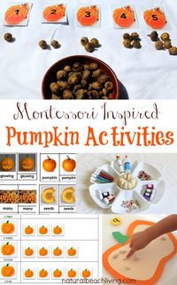 Perfect Fall Montessori Pumpkin Activities