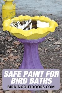 safe paint for bird baths