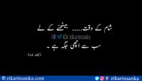 شام کے وقت.....  بیٹھنے کے لے  سب سے اچھی جگہ ہے  #jawad #zikarinsanka #urdu_poetry_sms #poetry #urdu