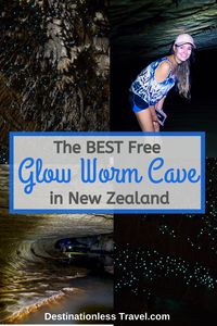 Glow worm caves are one of New Zealand's biggest attractions. As one of only two countries in the entire world with glow worms, travelers from all over the world visit New Zealand to see them for themselves. There are many different places to see glow worms in New Zealand. Some places are very popular while others are local secrets. This article is about one of the very best places to check out glow worms, Waipu Caves in Northland, New Zealand. Here, you can see thousands of glow worms for FREE!