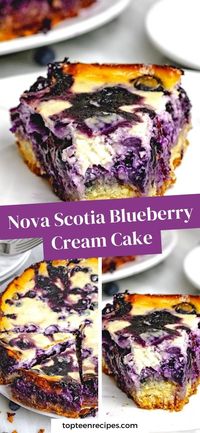 This Nova Scotia Blueberry Cream Cake is a delicious dessert that is both easy and fun to make. The sweet and tangy flavor of blueberries combined with the creamy richness of cream creates a mouth-watering treat that is perfect for any occasion.