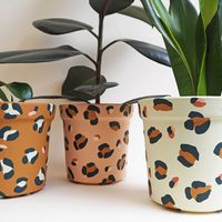 Our large leopard print ceramic planters have been individually hand painted in warm earthy colours.  Choose from a warm white, blush pink, or ochre brown, complemented with a dark green leopard print design. The large plant pot measures approximately 15cm tall x 15cm wide, and fits a 12-13cm nursery pot. The inside of the pot is painted with a satin finish, whilst the outside of the pot is a matt finish. The price is for one pot, and plants are not included. No drainage hole.  Indoor use only.