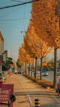 #southkorea #coreadelsur #coreano #koreanstyle #koreatravel #korealandscape #autumn #kpop #bts #asia