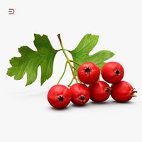 Hawthorn Berry Branch Fur 3D