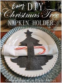 CONFESSIONS OF A PLATE ADDICT: Easy Christmas Tree Napkin Holder