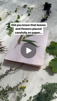 LOUISE UPSHALL | ECO-PRINTS & NATURAL DYE on Instagram: "I love eco-printing on paper for so many reasons, here’s just 3 of them: 🌿 You can try most types of plants and paper, and something will happen. 🌿 If you aren’t using a mordant, it can safely be done with even the tiniest helper (although you need extra patience for that 🙃) 🌿 You can be more playful than with eco-printing or natural dyeing on clothing, because the results don’t need to be as washfast and lightfast - you won’t be washing the paper regularly or taking it out in the sun for extended periods. 🌸 I’ve created a free mini book about ‘Paper Eco-Print Projects’, with 3 tutorials for you to try and some examples of plants I love using on paper. Comment PROJECTS and I’ll send you the link to get it 😊💗  PS if you don’t g