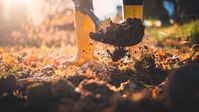 How to Feed Your Soil in the Fall in 10 Easy Steps