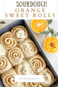 These sourdough orange sweet rolls are a zesty variation of sourdough cinnamon rolls. These have the option of being sourdough orange cinnamon rolls if you prefer or you can let the orange shine solo. These orange sourdough sweet rolls make a great breakfast or brunch addition especially in the summer months but they also work great around the holidays like Christmas or Easter. This sourdough orange roll recipe is sure to be loved by family and friends.