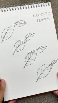 Flower Doodles | Mandala | Zen art✨ | Leaves in different perspectives 🍃 ���🚀 Step-by-step guide to draw curved leaves is available for download at my online store and Etsy shop… | Instagram