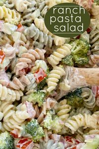 Pasta Salad Recipe | Ranch Pasta Salad is the best pasta salad side dish! Rotini noodles, cucumber, tomato, broccoli, parmesan cheese with an easy dressing of ranch. Everyone will love this pasta salad! #pastasalad #ranch #sidedishrecipes #pastasaladrecipes #easyrecipe #salads #recipeoftheday