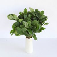 A fresh bulk green, Salal serves as a wonderful decorative filler. Salal is commonly known as Lemon Leaf Greenery. Our foliage is known for its premium quality and long-lasting vase life. Use Salal by itself or add it to any arrangement for vibrant green color or beautiful volume and texture.