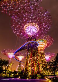 Gardens by the bay - Electrified!!! by AJ Photography, via 500px