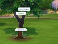 Mod The Sims - Harvesting for Children and Toddlers (Updated)