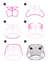 How to Draw Animals: Cows and Other Bovines