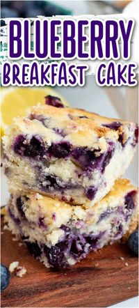 This blueberry breakfast cake recipe is moist, tender, and full of blueberry flavor with just a hint of lemon! It is perfect for any breakfast or brunch, and is so easy to make!