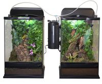 Programmable misting unit for terrariums, bird cages, aviaries or indoor gardens.