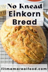 Crusty No Knead Einkorn Bread (Dutch Oven) – Fit Mama Real Food