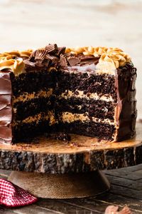 Dark Chocolate Peanut Butter Cake