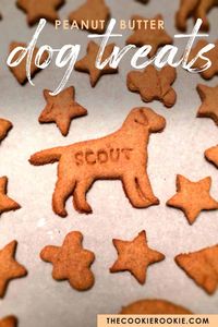 Homemade Dog Treats are the best way to show your pet that you love them like family! These Homemade Peanut Butter Dog Treats are an easy dog biscuit recipe that your fur baby would request every week if they could.