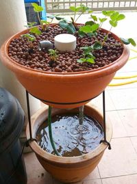 Green Wall Style Aquaponics  Source    Ikea Shelf Aquaponics  Source    Classic IBC Tote Aquaponics  Source  Here's a short DIY article on building your own IBC Tote aquaponics like  this..    Classic Wooden Aquaponics with NFT  Source    Converted Gutters  Source    Converted Water Tank Aquaponics  Source    Large Indoor/Outdoor Aquaponics  Source    Planter Style Aquaponics  Source    Wall Mounted Aquaponics  Source    Bathtub Aquaponics  Source    Fancy Acrylic Style  Source   Featured Ju...