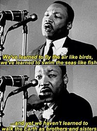 Something We Should Think About • Dr. Martin Luther king Jr quote