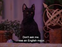 Salem from Sabrina the Teenage Witch