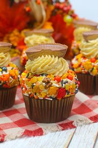 Fall Harvest Chocolate Peanut Butter Cupcakes