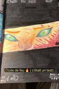 Cc c étoile de feu j’ai terminé le dessin le 17/10/23