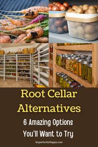 6 Alternatives to a Traditional Root Cellar. Whether you grow your fruits and vegetables or prefer buying them in bulk to save money, it helps to have a root cellar at home to use to keep these… More